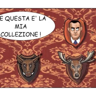 Collezione Salvini