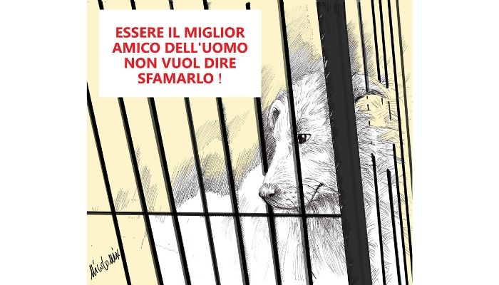 festival della carne di cane di Yulin . Nicocomix