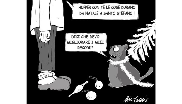 Da Natale a Santo Stefano . Quanto dura l'albero di Natale se in casa c'è un gatto? Nicocomix