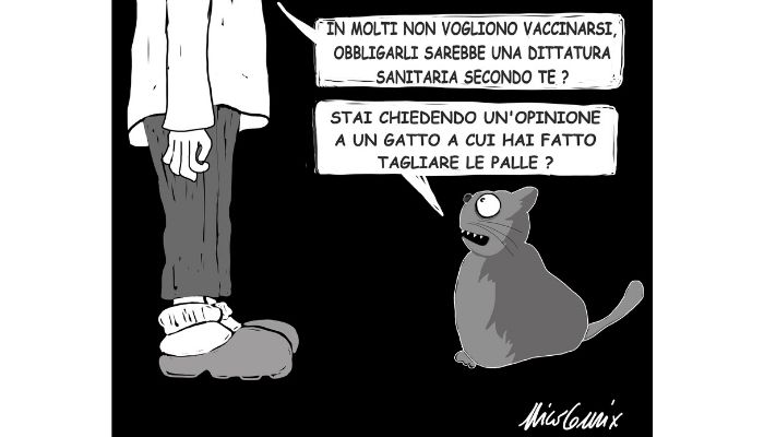 Opinione a posteriore . Vaccino obbligatorio o no? Ho chiesto a Hopper, il gatto oracolo ... Nicocomix