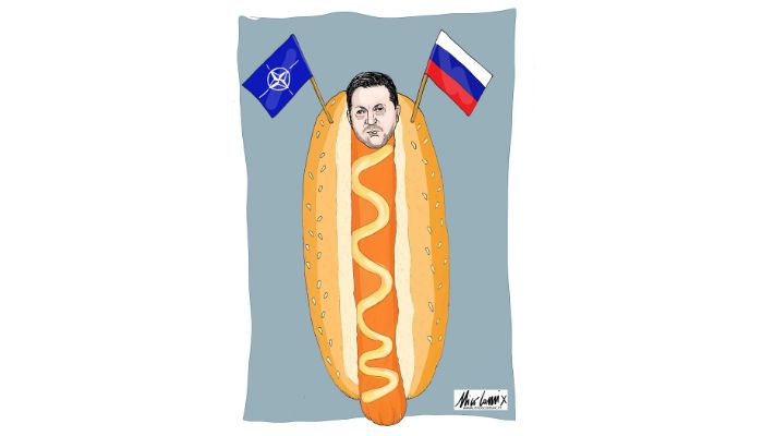 Hot Dog all'ucraina. Nicocomix