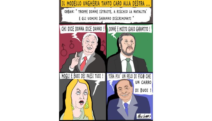 modello ungherese. Nicocomix