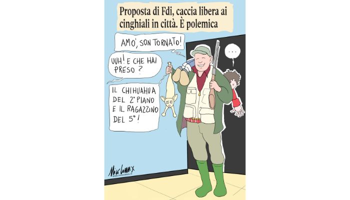 caccia libera . Nicocomix